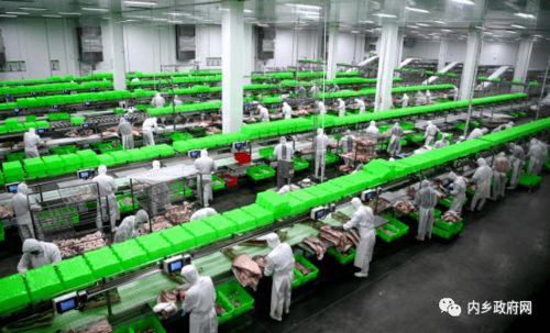 書寫菊鄉(xiāng)大氣磅礴的奮進文章 內(nèi)鄉(xiāng)縣政府工作報告解讀