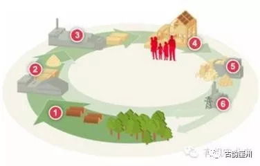 環保 三亞打起向綠色要效益 大算盤 著力打造生態循環農業新模式,綠色發展撬動生態產業經濟